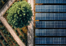 Vista aérea de painéis solares integrados à vegetação natural